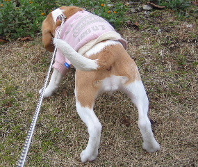 20080115_5.JPG