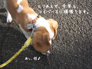 20080101_4.JPG