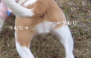 20080115_6.JPG