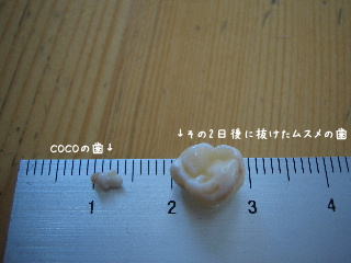20080101_2.JPG