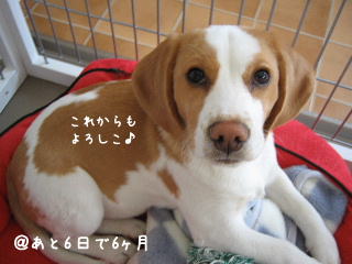 20080215_4.JPG