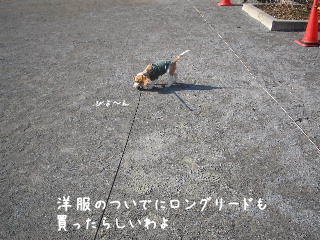 20080108_1.JPG