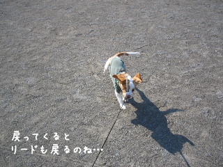 20080108_2.JPG