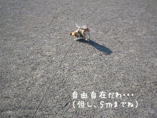 20080108_3.JPG