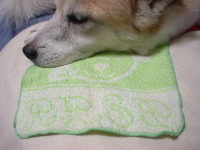 handkerchief3.JPG