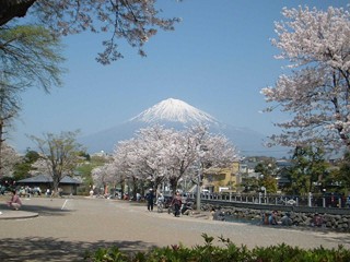 fujisan3