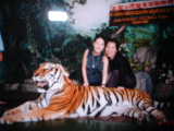 thai1.jpg