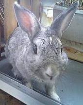 060627 013m.jpg