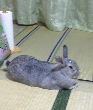 070709 013m.jpg