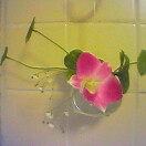 bath-flower