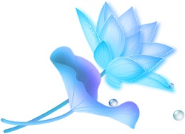 水色睡蓮