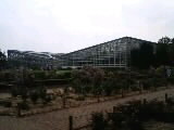 神代植物公園　温室