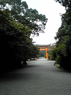 PA0_0117.JPG