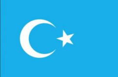 東トルキスタン国旗
