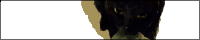 banner.jpg
