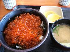 かきざき商店　いくら丼.JPG