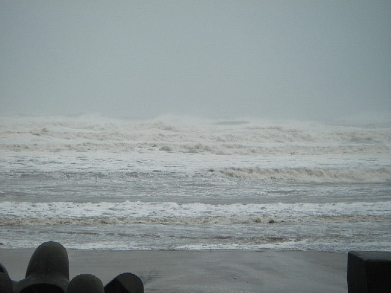 コピー ～ IMGP2525.JPG