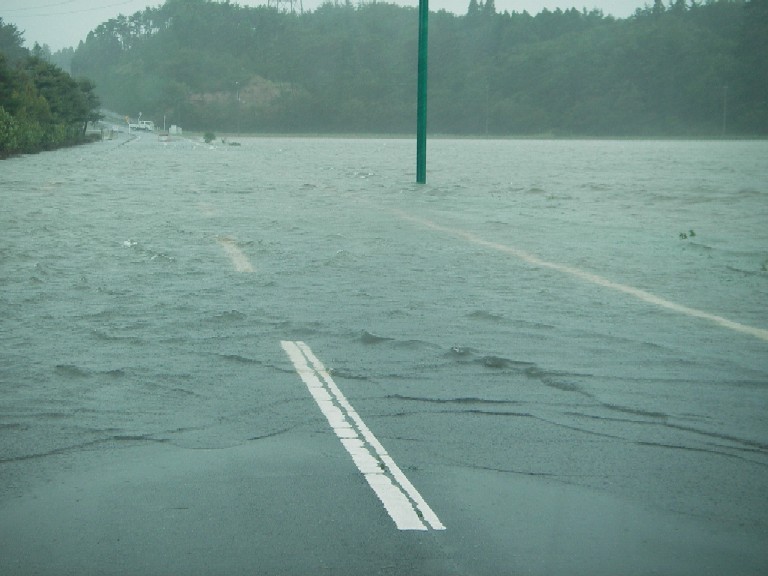 コピー ～ IMGP2532.JPG