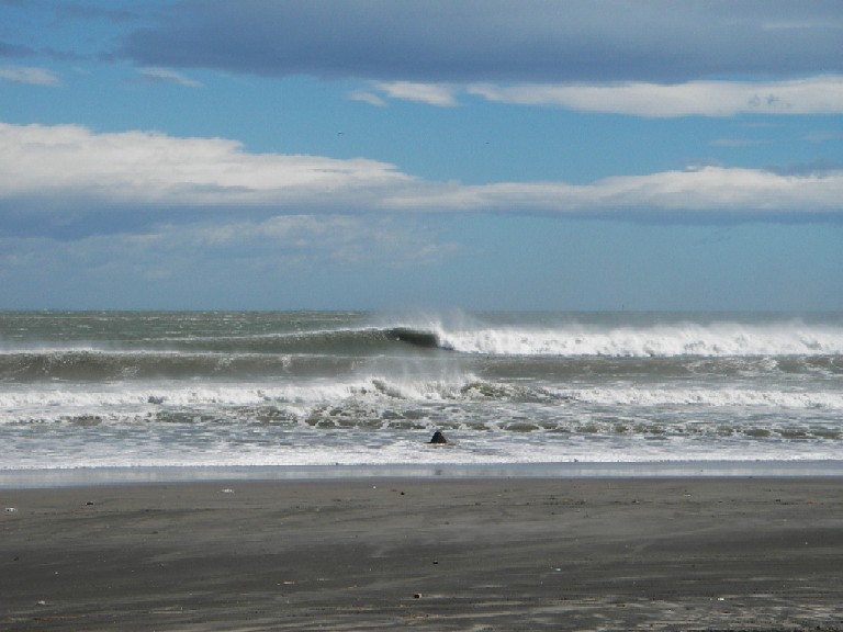 コピー ～ IMGP2552.JPG