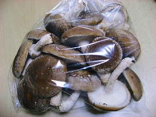 shiitake4