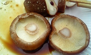 shiitake5