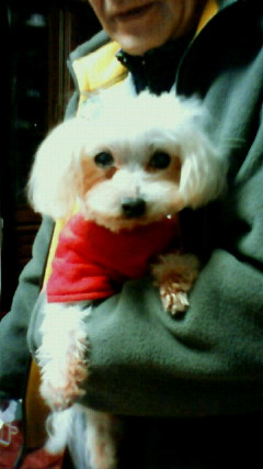 NEC_0068 - コピー.JPG