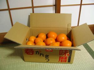 和歌山県有田産：清見オレンジ１