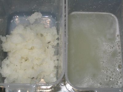 イキイキ酵素くんで作った、大根おろし
