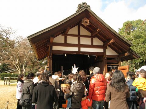 上賀茂神社の白馬（神馬）