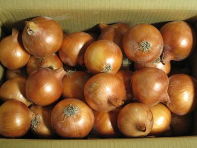 淡路島産の玉葱１０キロで３８個入り
