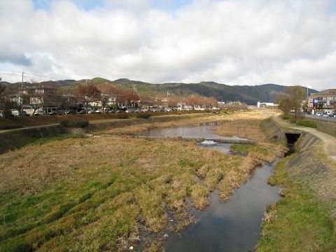 元旦の加茂川