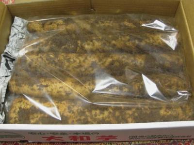 極上大和芋２キロ