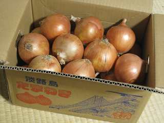 淡路島産の玉ねぎ５ｋｇ箱