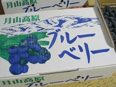 ブルーベリー：外箱