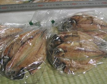 鯵の干物