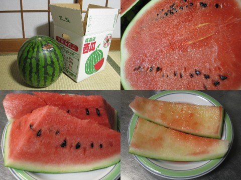 ２０１１年産の尾花沢スイカ