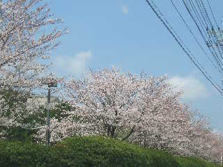 100_3240.JPG