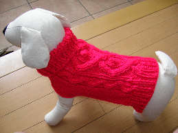 モデルのしろちゃん