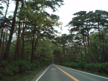 那須街道