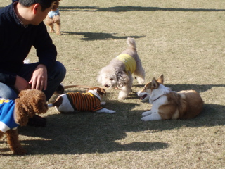 2006.12.3こなつ4