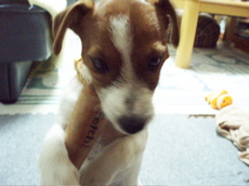 2006.10.26こなつ2