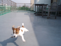 2006.10.18こなつ4