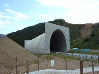 ﾄﾝﾈﾙ01