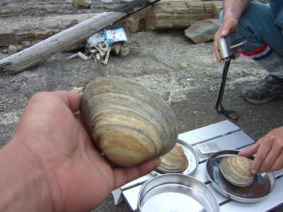 何食べたらこんなに･･･