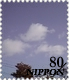 雲+空.jpg