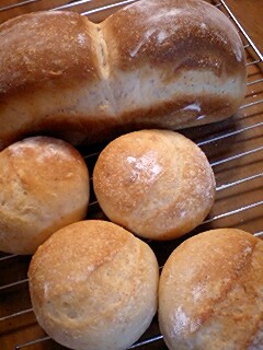 ミルクパン2種（レーズン酵母）.