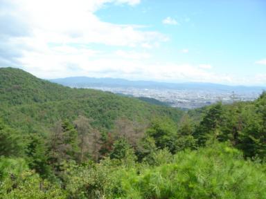 京都の町を一望