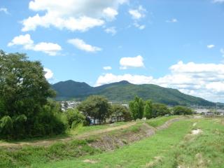 のどかな風景