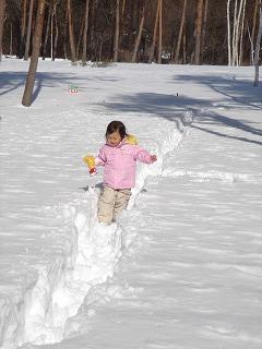 新雪の道.jpg