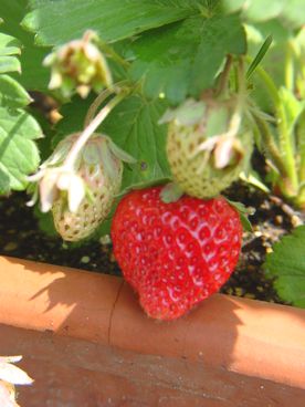 DSC07783.JPG